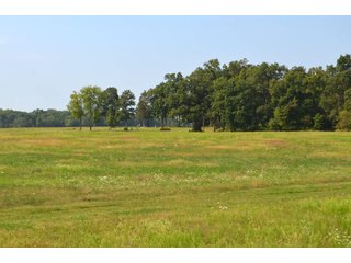 Dekalb County, Indiana Farmland - MAJOR LAND AUCTION - 516+/- ACRES OFFERED IN 18 TRACTS OR COMBINATIONS IN DEKALB COUNTY, INDIANA